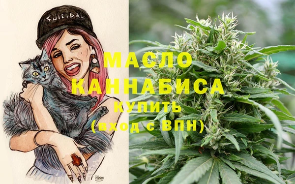 индика Абдулино