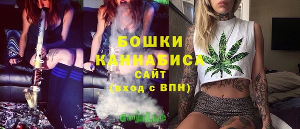 индика Вязники