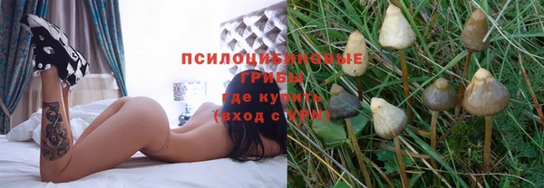 MDMA Вяземский