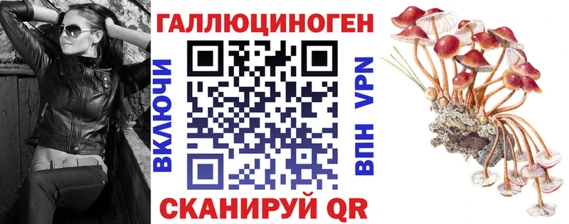 Галлюциногенные грибы прущие грибы  Чита 