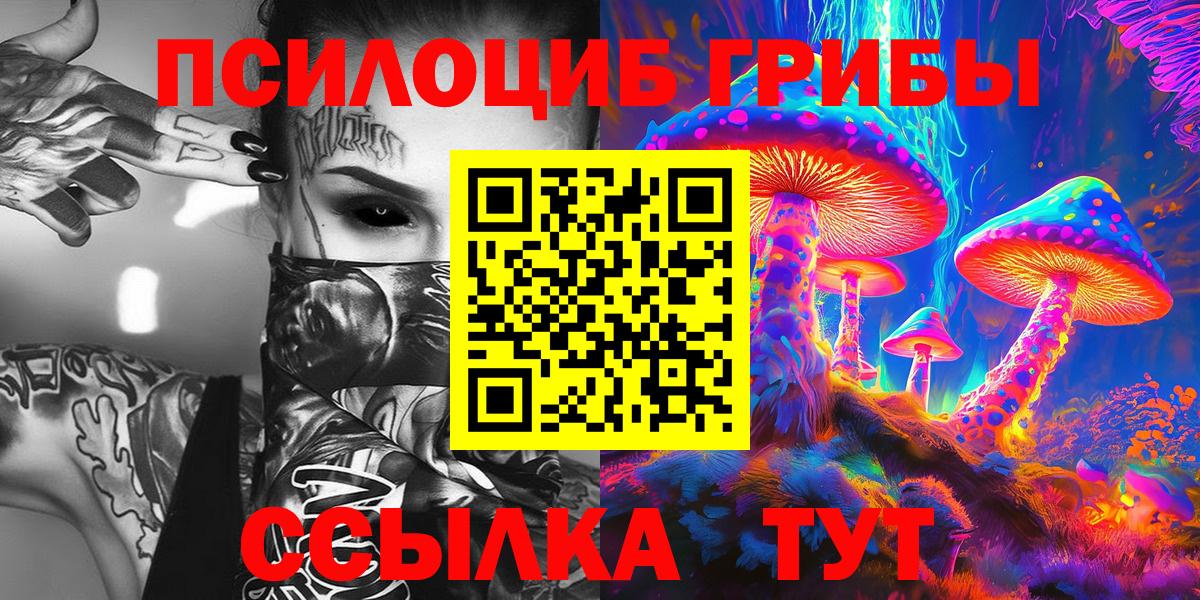 Чита  Галлюциногенные грибы Psilocybe  Вход с VPN  купить  цена  Галлюциногенные грибы Psilocybine cubensis 